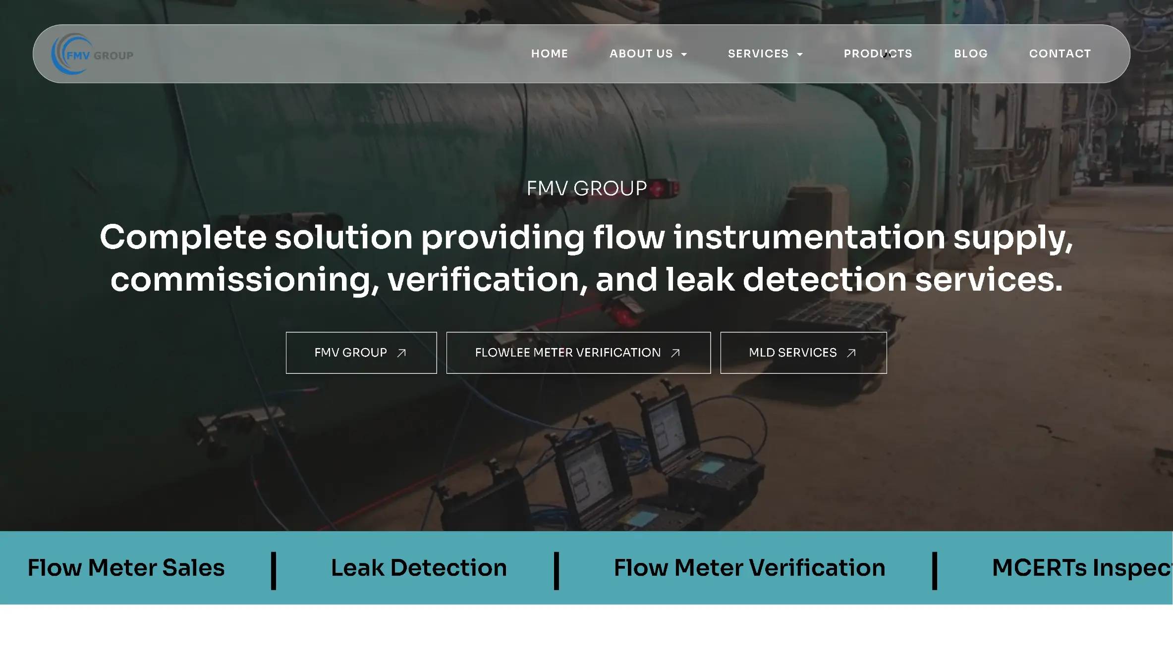 Home page screenshot for client website